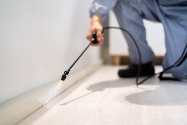 Licensed Pest Control service in Flemington, GA - Show Me Pest Control