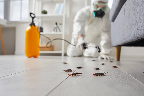 Commercial Kitchen Cockroach Control in Flemington